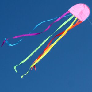 Jellyfish Australian made kids kite from Windspeed kites to toy shops and hobby shops wholesale