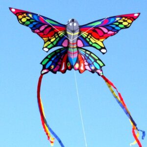 Rainbow Butterfly from Windspeed Kites, Australia's wholesale kite supplier