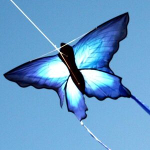 Ulysses Butterfly available wholesale to Toy and Hobby stores in Australia