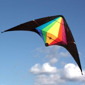 Black Widow stunt kite from Windspeeed Kites, Australia's wholesale kite supplier