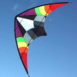 Ikon dual control kite wholesale from windspeed kites