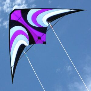 Offshore High performance kite from Windspeed Kites wholesale supplier