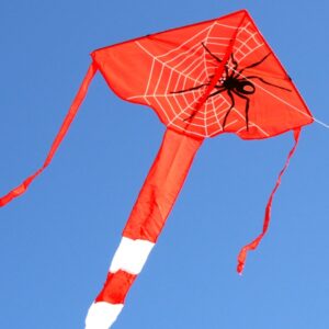 Spider kite for kids from Australias wholesale kite supplier, Windspeed Kites