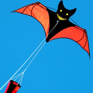 bat kite with drogue from Australian kiter supplier to toy and hobby stores