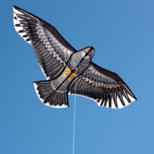 Large Eagle kite available in toy and hobby stores supplied by Windspeed Kites