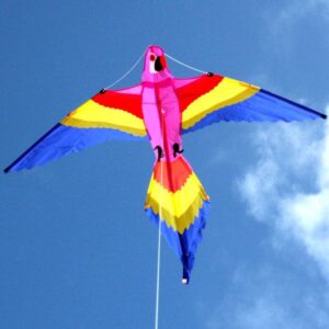 Lorikeet Bird kite wholesale supply from Windspeed Kites