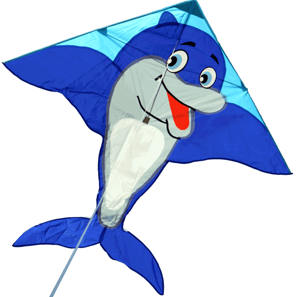 home-Dolphin