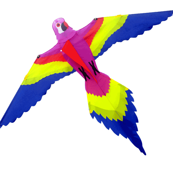 home-Lorikeet