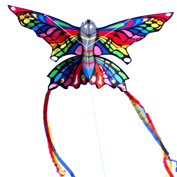 home-Rainbow-Butterfly
