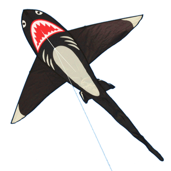 home-Shark
