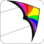 Dual control stunt kites from Australian kite suppliers