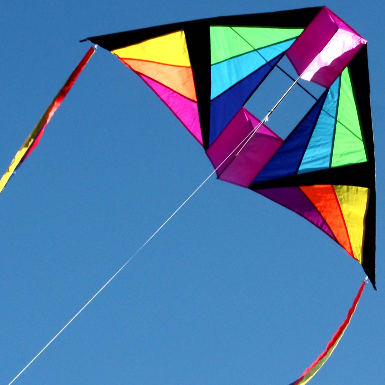 Cell Delta Single String Kite