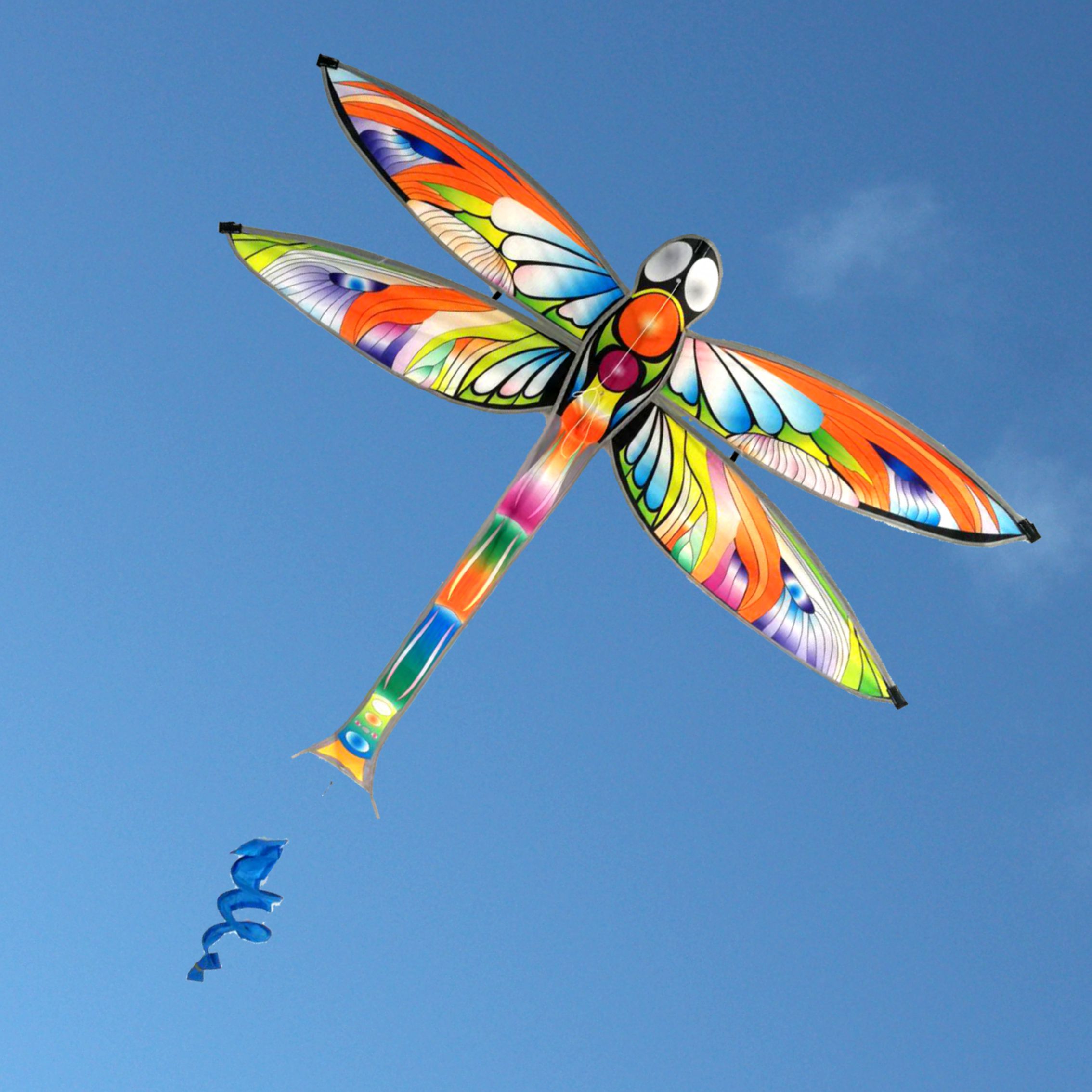 Dragonfly single string kite