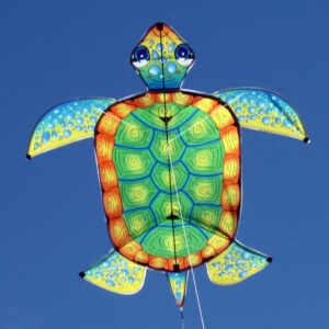 Turtle single line kite